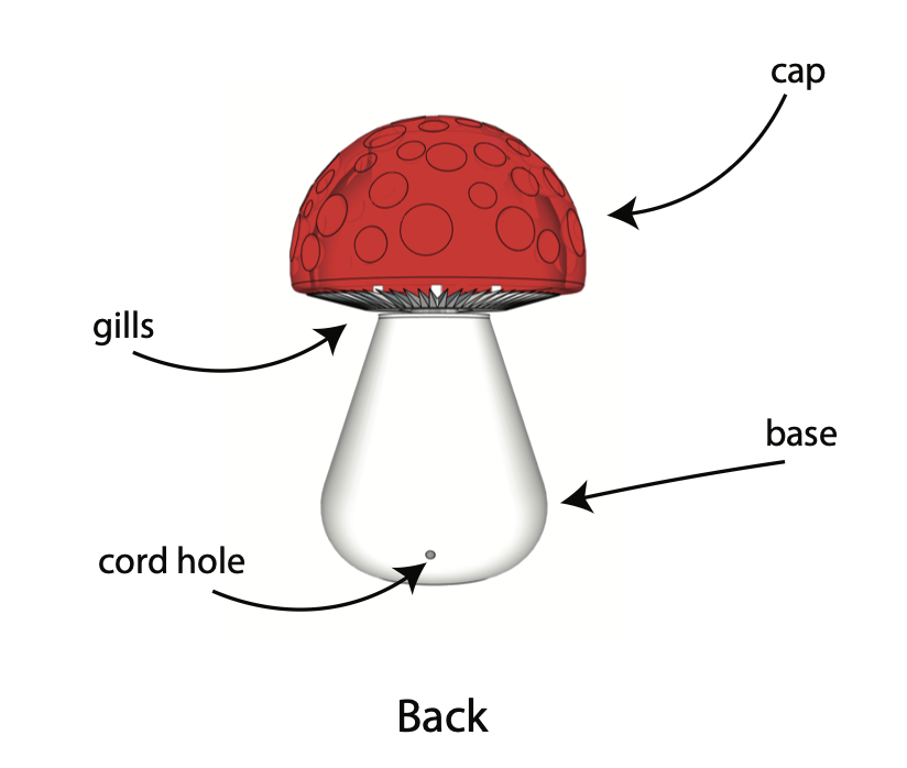 Mushroom lamp — back label